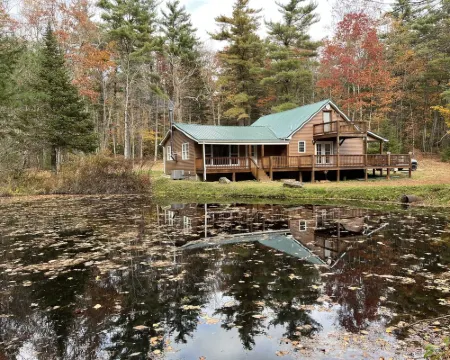 Roudy’s Retreat: Secluded Mountain Cabin with Hot Tub and Private Pond 넬슨 카운티 호텔
