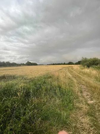 Unique Cosy Cottage In Sherwood Forest