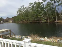 Waterfront Large Gorgeous House, no car needed