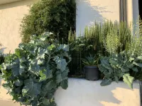 Blue Fattoria Luxury Farm Accommodation