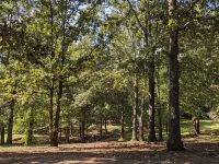 Cabin Bliss - Just 1 Mile from Lake Lanier / 5 Acre / 5 BR with Hot tub Hotels in Forsyth County