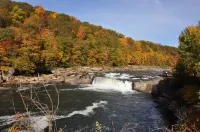 Cozy Cottage overlooking beautiful Loyalhanna Creek in Historic Ligonier!