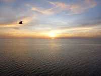 Channel-Front Port Isabel Family Home. Gulf/Bay Fishing and Close to SPI Beach! Hotels in Port Isabel