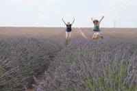 Luxurious Charming Modern Villa