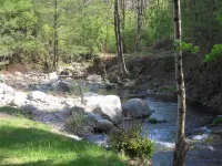 Former Cévennes silkworm farm surrounded by 5 hectares of private land Genolhac 호텔