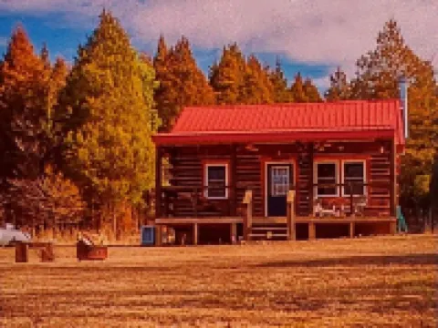 Cozy 2-bedroom country side cabin. Minutes from Patoka Lake. Pet friendly. Hotels in Orange County