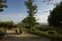 Villa Vestra in Vinci holiday home