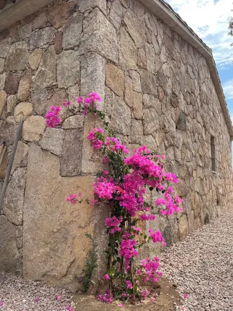 Maison de Charme en Pierres a 8mn de Porto Vecchio