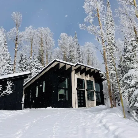 Chalet Black: Modern Ski Resort Haven in Wooded Paradise! 4 queen beds