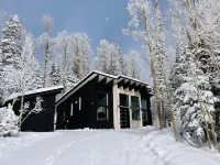 Chalet Black: Modern Ski Resort Haven in Wooded Paradise! 4 queen beds