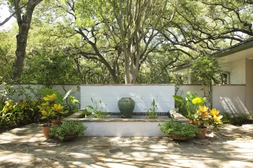 5-Acre Nature Retreat In The Heart Of San Antonio with Pickleball and Tennis