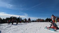 Cozy ski-in/ski-out condo on Mount Snow w/fireplace