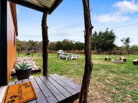 Tiny Cottage - Hill Country Hotels in Kyle