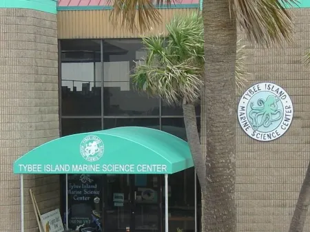 Comfy, Cozy Beach Apartment for Two with Adjustable King Bed!!! Отели рядом с достопримечательностью «Тайби-Айленд Лайт Стейшен Энд Музеум»