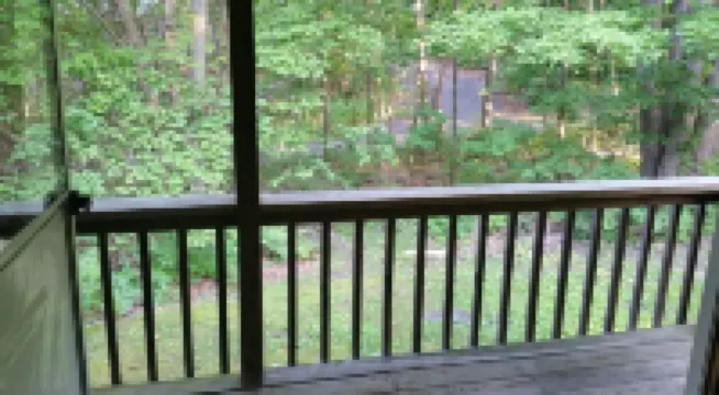 Cozy Cabin In The Woods Near Raystown Lake