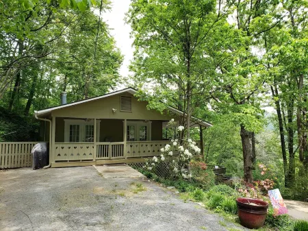 Come to Asheville! Treetop Mountain Views In Downtown AVL - FP, Dog Friendly!