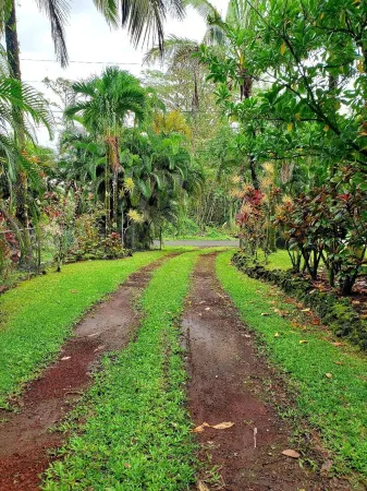 Tropical Vacation Home in Hawaiian Beaches, Pahoa, HI Отели рядом с достопримечательностью «Halepalaoa Beach»