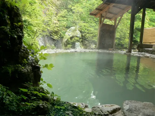 Kamikochi Hotel - Mountain view