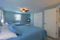 Endless Summer Pool Vibes