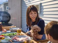 솔라나 후지야마나카코