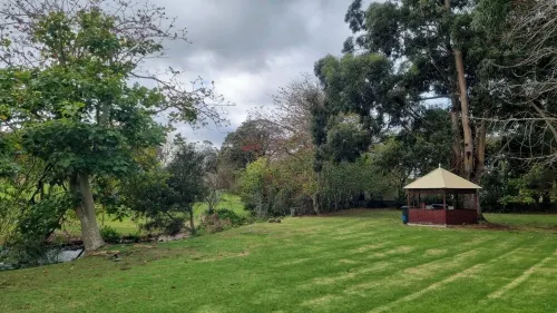 Tranquil retreat on Middleton Road, mid-way between the city and the sea!