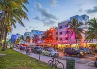 Beautiful Oasis in Fort Lauderdale Hotels in Davie
