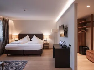 호텔 골데네스 쉬프