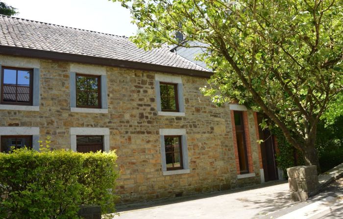 Family Villa in Ferrieres