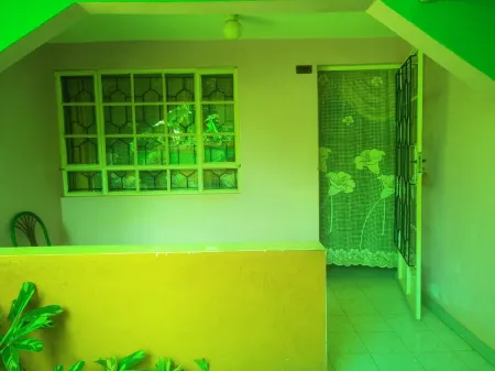 Owoods Annex Hotel Отели в г. Эмбу