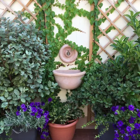 Il Giardino Segreto Отели рядом с достопримечательностью «Пьяцца Лауро»
