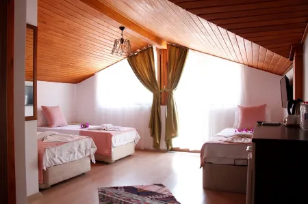 Limon Pansiyon 2 Отели в г. Akcapinar