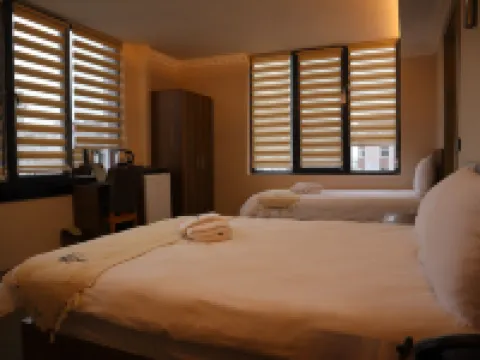 Osmanlı Paşa Otel- Konaklama Hotels in Samsun