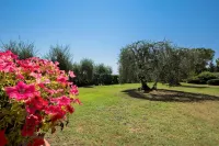 Apartment in Castelfiorentino with Pool