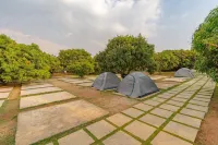 Q 芒果度假村 拉馬納加拉姆住宿飯店