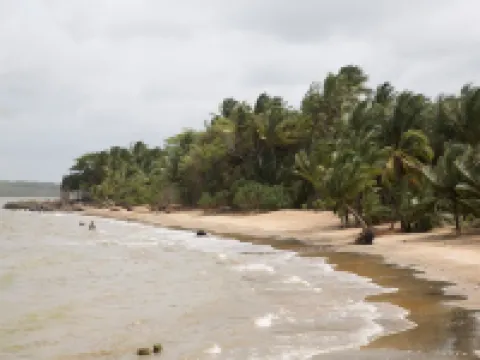 ホステル トゥーカン レジデンス フランシス アヴェック プール カイエンヌのホテル