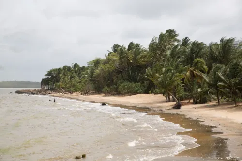 Hostel Toucan Rés Francis avec Piscine Hotels in Cayenne
