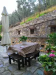 Luxury Mansion in Pelion Hills