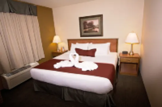 Service Plus Inns & Suites Drayton Valley Hotels in Drayton Valley