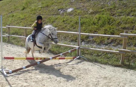 Résidence la Forêt du Praz Отели в г. Сален-Ле-Терм