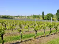 Holiday Home in Lazise Near Lake Garda - Beach