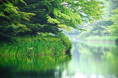 ホテル周辺 軽井沢 つるや旅館の写真