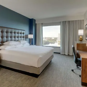 Drury Plaza Hotel Orlando - Disney Springs Area