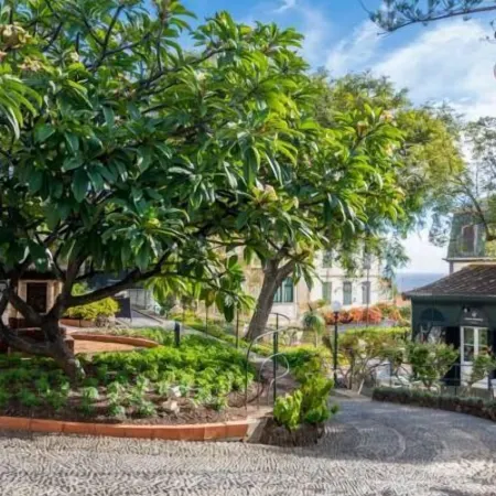 Arts in Hotel Conde Carvalhal