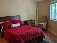 Tree House Condo! Great Location! Steps From Campus!
