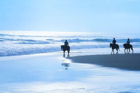 Expansive Wraparound Deck and Scenic Views - Stunning Coastal Haven Отели в г. Мосс Бич