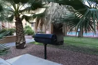 Resort Style Condo in old Mesilla