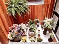 Aton Plaza Hotel - Pet friendly