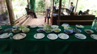 Hill Tribe Art House (Lahu & Akha Homestay)