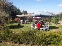 ブエンス ルガル ホテル のホテル