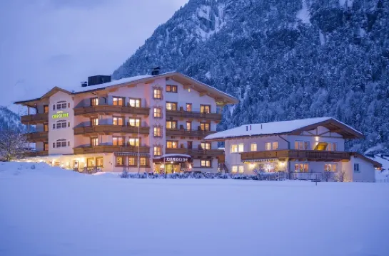 親愛的卡羅琳酒店